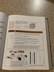 Vintage Teacher’s Edition 1973 – Essentials Of Mathematics Course 4 – Ginn