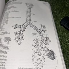 The Anatomy Coloring Book (2nd Edition), Kapit, Wynn; Elson, Lawrence M., Used;