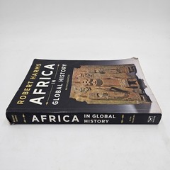 Africa in Global History by Harms | 1st Ed African World History Txtbook PB GOOD