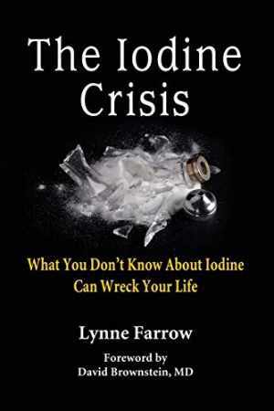 The Iodine Crisis: What You Don’t know About – Paperback, by Lynne Farrow – Good