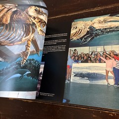 100 Wyland Whaling Walls by Not Available (2008, Hardcover)