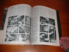 1972 PETERSENS BASIC ENGINE HOT RODDING BOOK MUSCLECARS CHEVELLE CAMARO MUSTANG