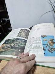 1976 Exploring God’s World 3- A Beka Book Science Series-By Judy Hull Moore