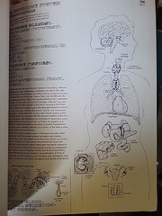 The Anatomy : Coloring Book by Lawrence M. Elson and Wynn Kapit (1997, Trade…