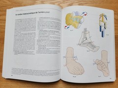 Anatomie Fonctionnelle – A.I. Kapandji – 7th Edition – 3-Volume Set – French