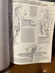 Anatomy Coloring Book by Kapit, Wynn 2nd Edition