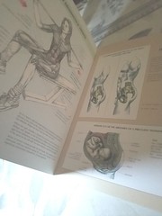 Anatomy Ser.: Women’s Strength Training Anatomy by Frédéric Delavier (2002,…
