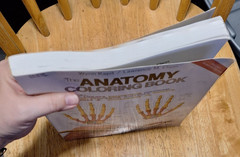 The Anatomy Coloring Book (2nd Edition), Kapit, Wynn; Elson, Lawrence M., Used;