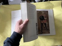 Sickert Paintings Large Softcover Insight