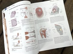 General Anatomy and Musculoskeletal System THIEME Atlas of Anatomy
