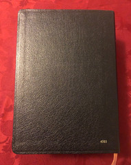 Catholic Study Bible, 2nd Ed. (2011, Bonded Leather/Thumb Indexed)