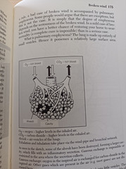 Naturopathy for Horses by Gerd Emich. Like new condition
