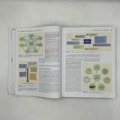 Elementary And Middle School Mathematics Teaching Developmentally Pearson 2019