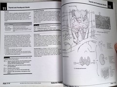 Netter’s Anatomy Coloring Book by – John T. Hansen, 2nd Ed, Large Paperback 2018