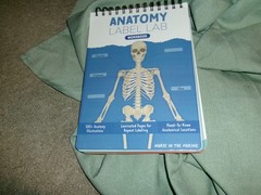Nurse In The Making Anatomy Label Lab Workbook Laminated Spiral Read Details np