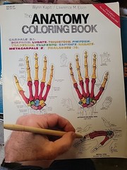 The Anatomy : Coloring Book by Lawrence M. Elson and Wynn Kapit (1997, Trade…