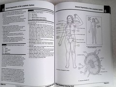 Netter’s Anatomy Coloring Book by – John T. Hansen, 2nd Ed, Large Paperback 2018