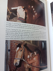 Naturopathy for Horses by Gerd Emich. Like new condition