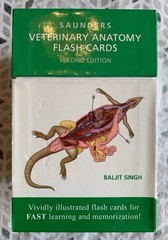 Veterinary Anatomy Flash Cards by Baljit Singh 2015 Cards Flash Cards Elsevier