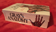 Unabridged Running Press Ed of Gray’s Anatomy by Gray, Henry 827 Illustrations