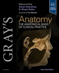 Gray’s Anatomy