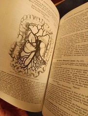 Gray’s Anatomy : The Unabridged Running Press Edition of the American Classic…