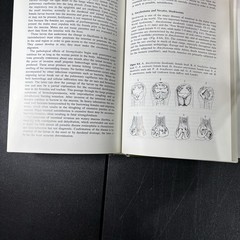 General Nematology Armand Maggenti 1981 Springer HC 135 Figures