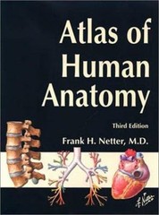 Atlas of Human Anatomy, Third Edition, Frank H. Netter, Good Book