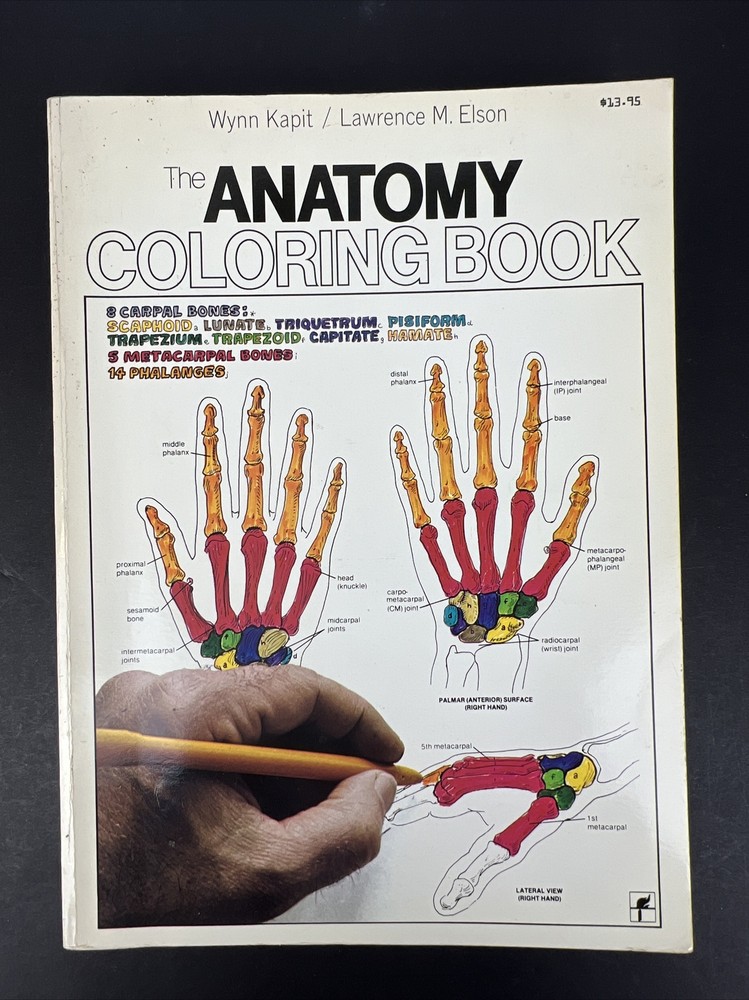The Anatomy Coloring Book – Paperback By Kapit, Wynn 1977 Unused