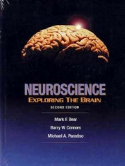Neuroscience: Exploring the Brain – Hardcover, by Bear Mark; Connors – Very Good