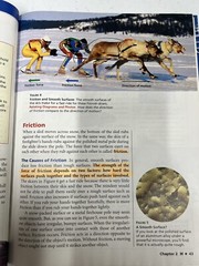 Science Explorer M : Motion Forces & Energy Prentice Hall Pearson Calvert School
