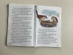 A Beka 1st Grade Animals in the Great Outdoors Set – Teacher and Student Books