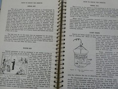 HOW TO KNOW THE INSECTS PUB 1947 SPIRAL BOUND HARD PAPER COVER 205 PAGES