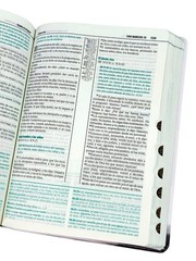 Biblia de Estudio Esquematizada Letra Grande RV1960, imit. piel con índice
