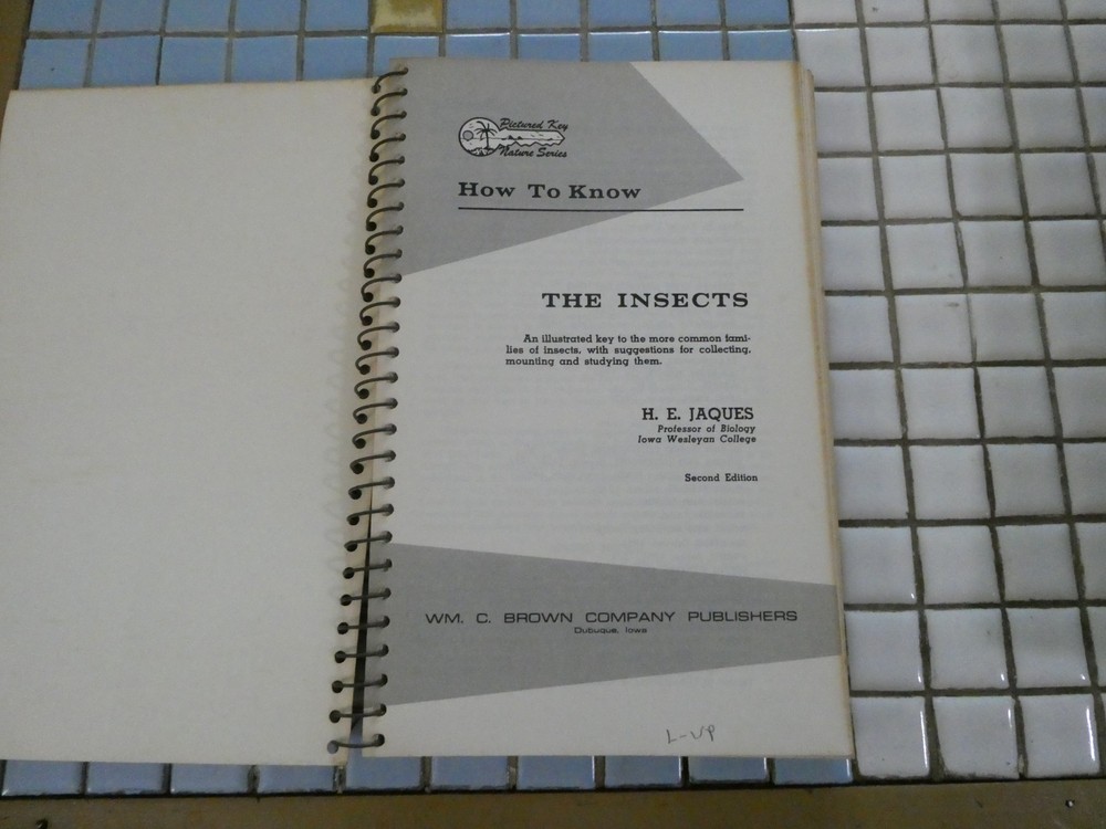 HOW TO KNOW THE INSECTS PUB 1947 SPIRAL BOUND HARD PAPER COVER 205 PAGES