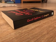 Incognito: The Secret Lives of The Brain by David Eagleman (Canongate 2012) 📕