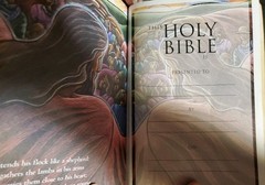 HOLY BIble, Zondervan, 2001, New International Version, ISBN 0-310-92616-5 GREAT