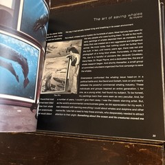 100 Wyland Whaling Walls by Not Available (2008, Hardcover)