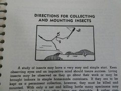 HOW TO KNOW THE INSECTS PUB 1947 SPIRAL BOUND HARD PAPER COVER 205 PAGES