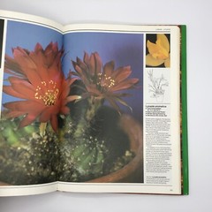 VTG House Plants The Illustrated Encyclopedia Hardcover Book by W. Davidson 1984