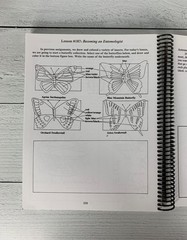 Feed My Sheep Art Curriculum Spiral bound by Barry Stebbing Book Homeschool