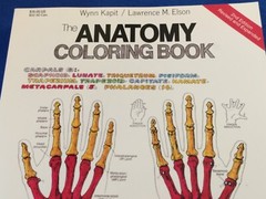 The ANATOMY Coloring Book 2nd Edition Revised & Expanded 1993 Kapit/Elson