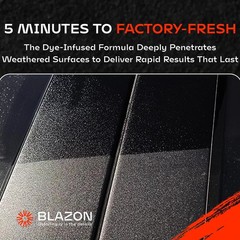 BLAZON Black Trim Restorer 8 oz – Dye-Infused Solution for Car Trim