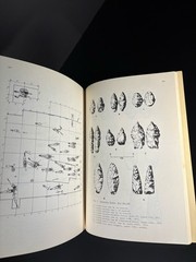 University of Ca #15 The Early Horizon In Central California Prehistory 1972