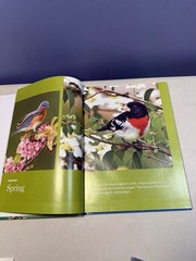 Birds Birds Birds (5): Boreal Birds of North America/Birds in Bloom/Canaries…