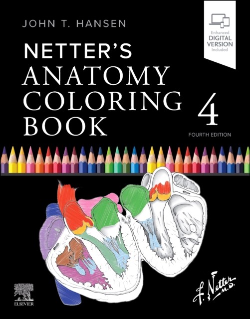 Netters Anatomy Coloring Book by John T. Hansen PAPERBACK 9780443287787