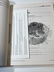 Study Guide for Pathophysiology McCance Huether 8th Ed Nursing PB Disease