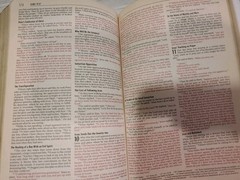 HOLY BIble, Zondervan, 2001, New International Version, ISBN 0-310-92616-5 GREAT