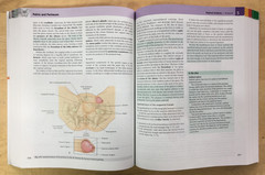 Gray’s Anatomy for Students 4th Edition by Drake, Vogl, and Mitchell – PB, Good