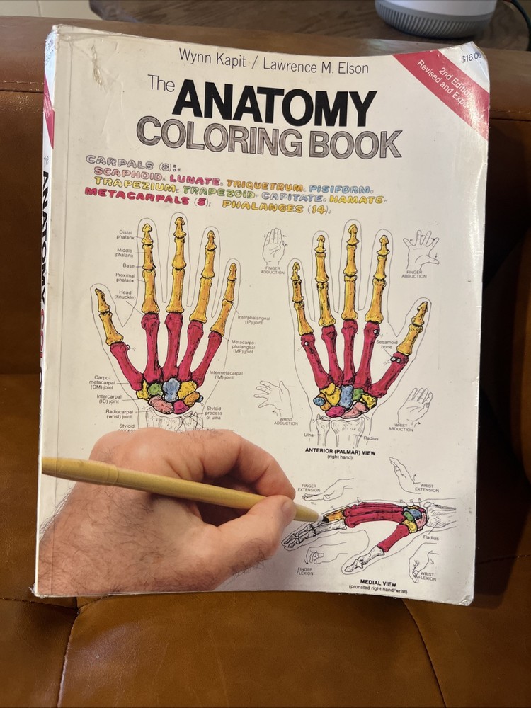 Anatomy Coloring Book by Kapit, Wynn 2nd Edition